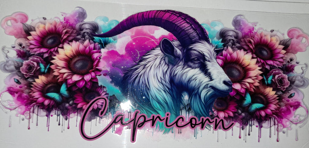 Feminine Zodiac