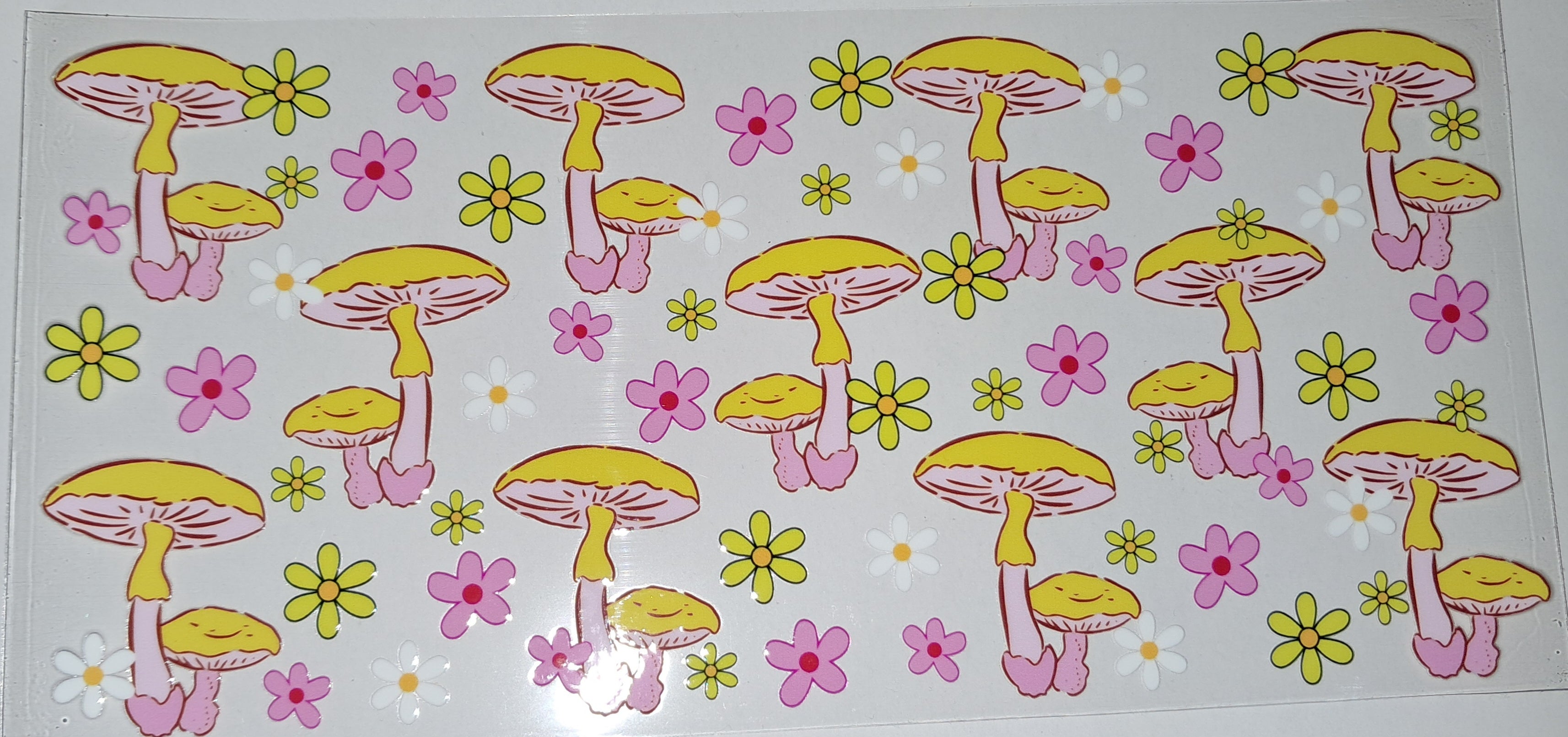 Girly/Coquette Aesthetic